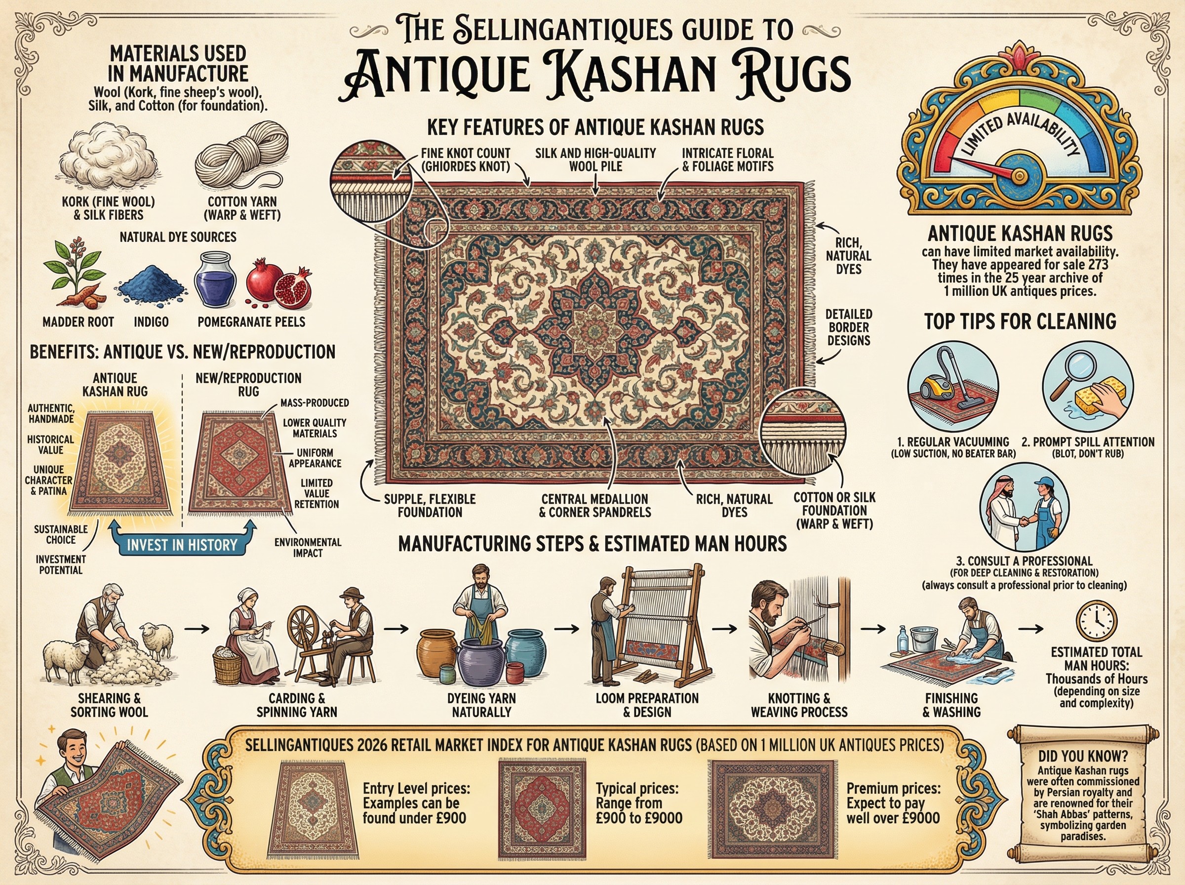 Antique Kashan Rugs Guide Infographic