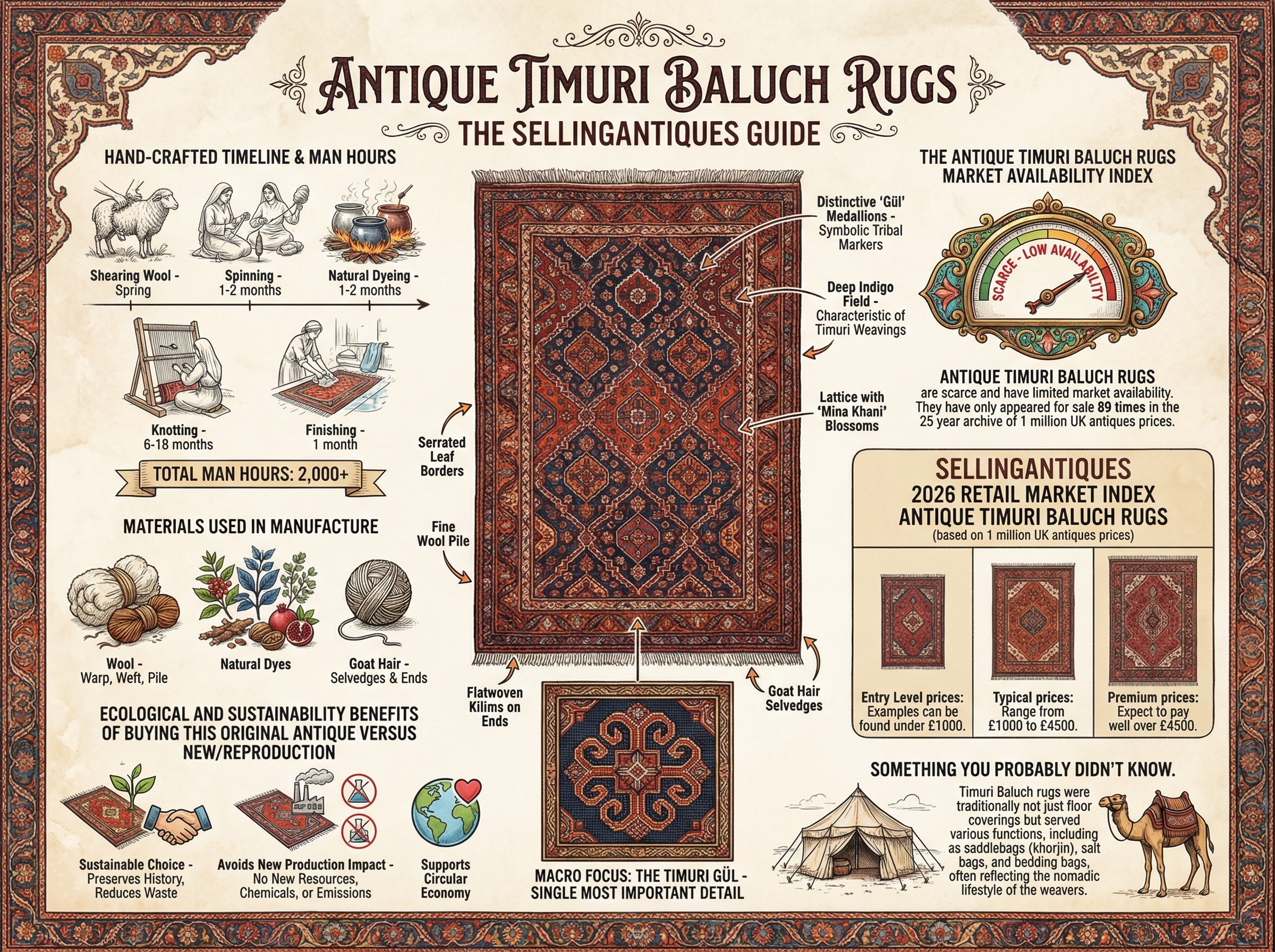 Antique Timuri Baluch Rugs Guide Infographic