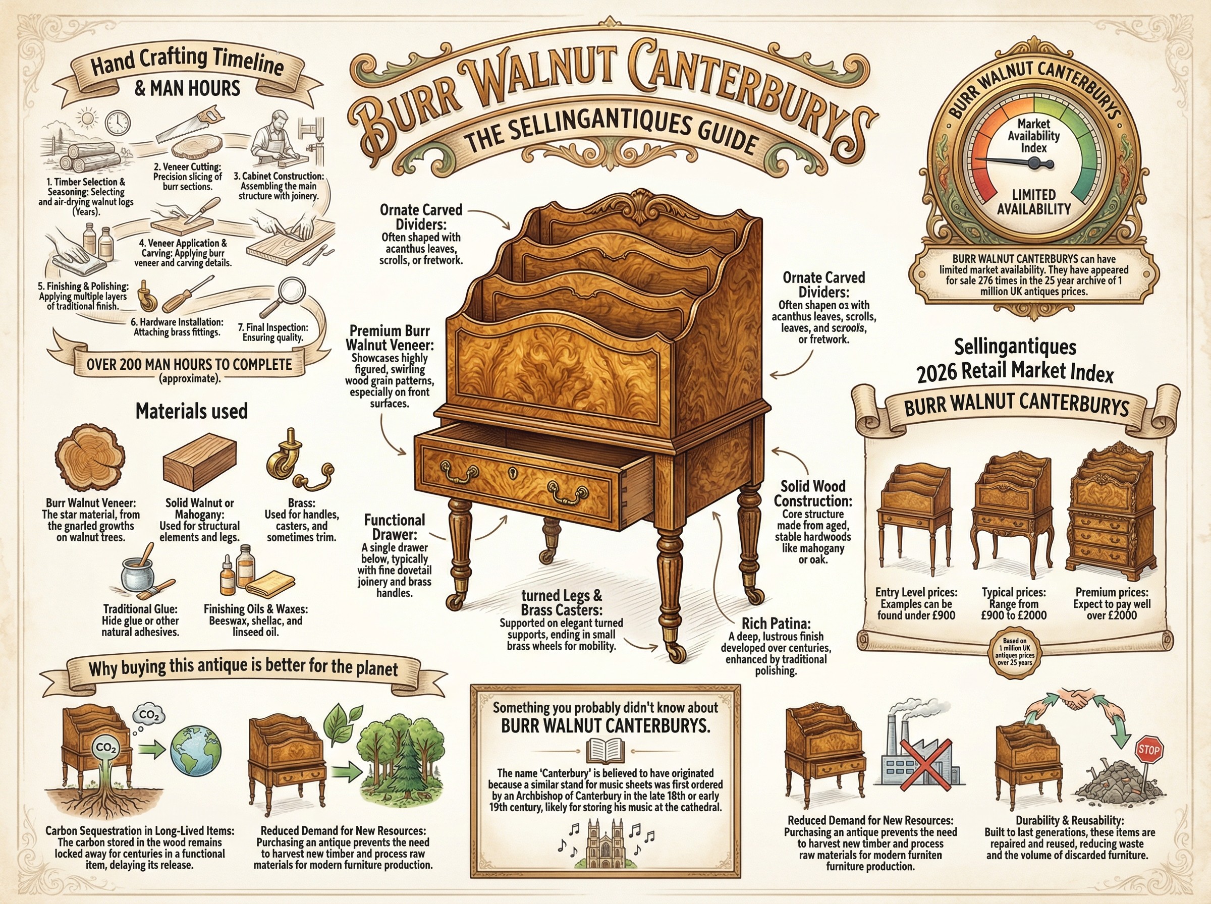 Burr Walnut Canterburys Guide Infographic