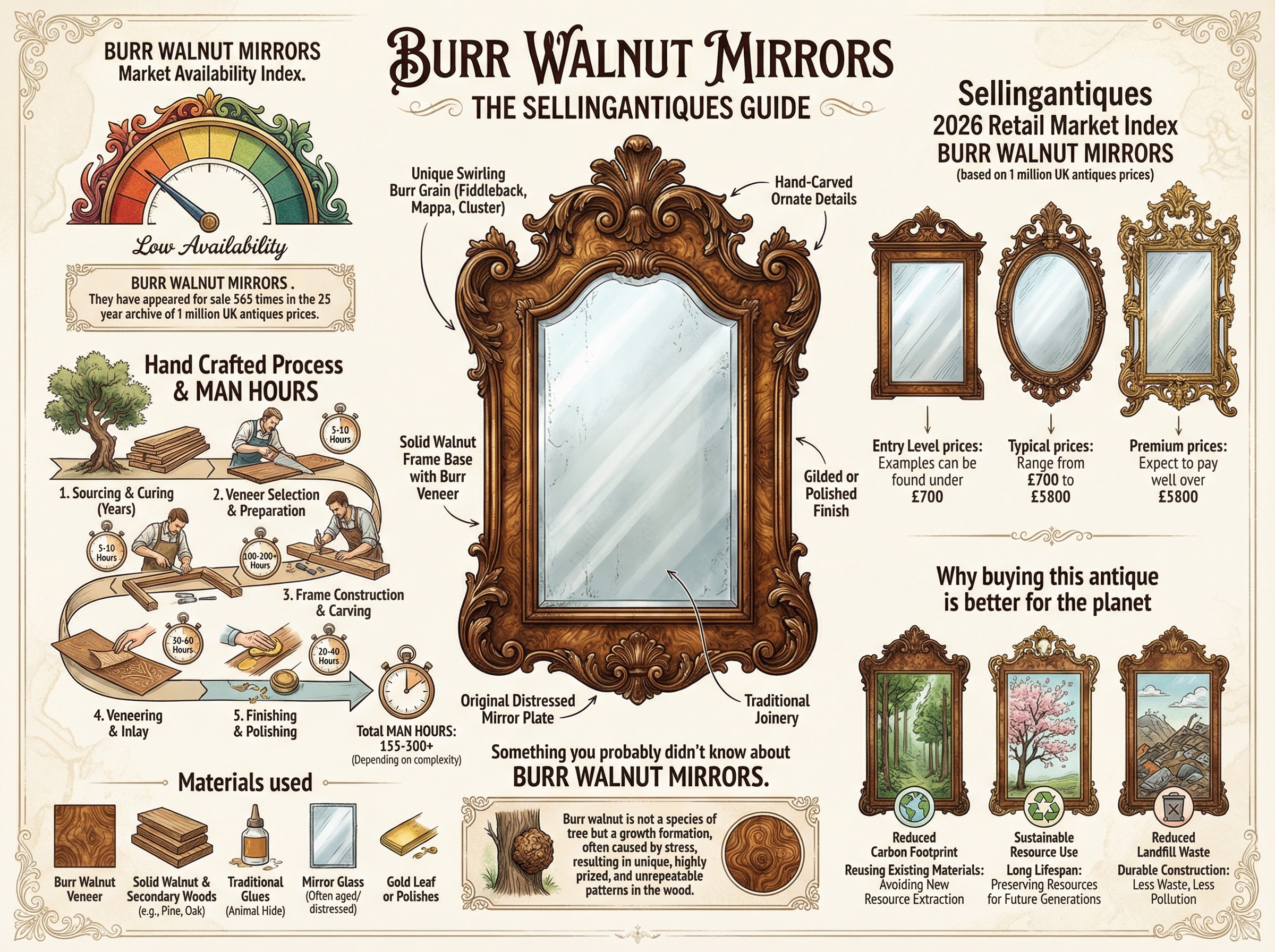 Burr Walnut Mirrors Guide Infographic