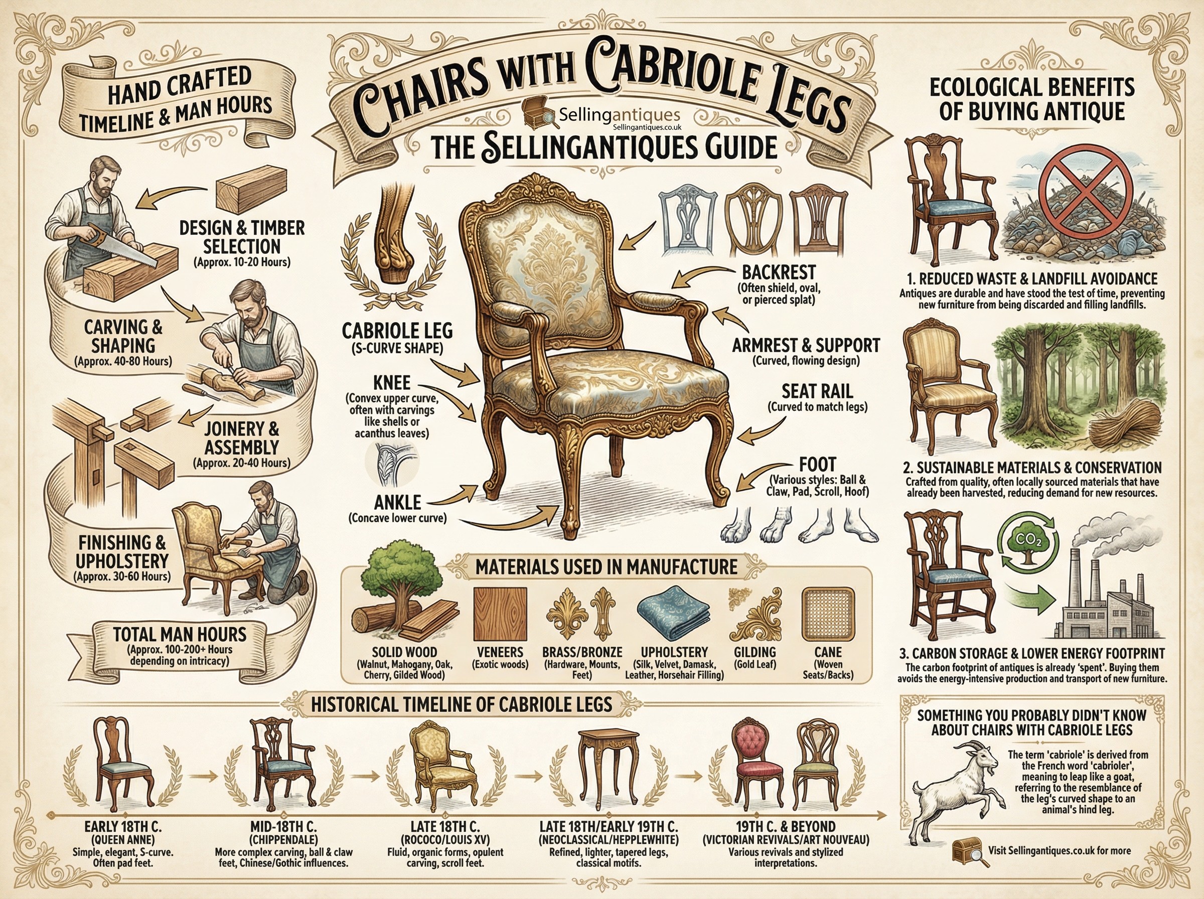 Chairs With Cabriole Legs Guide Infographic
