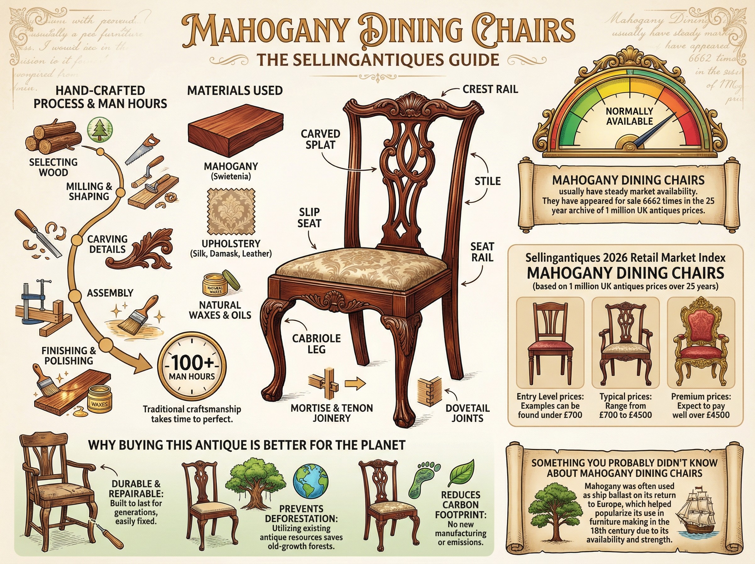 Mahogany Dining Chairs Guide Infographic
