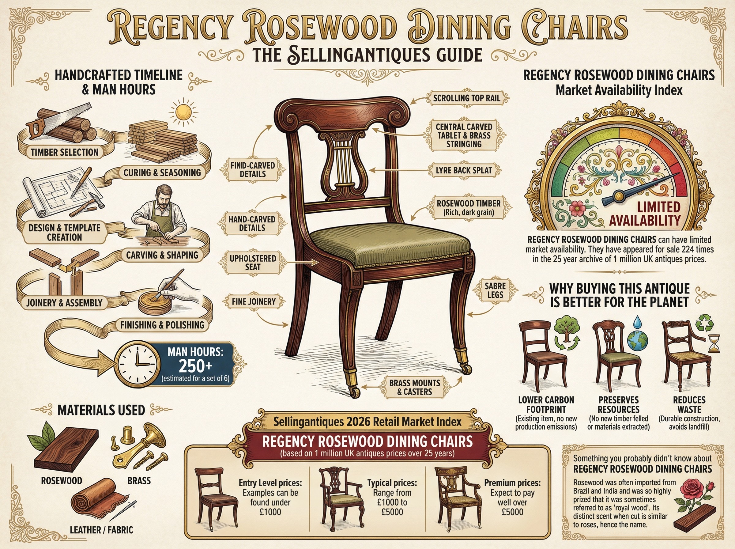 Regency Rosewood Dining Chairs Guide Infographic