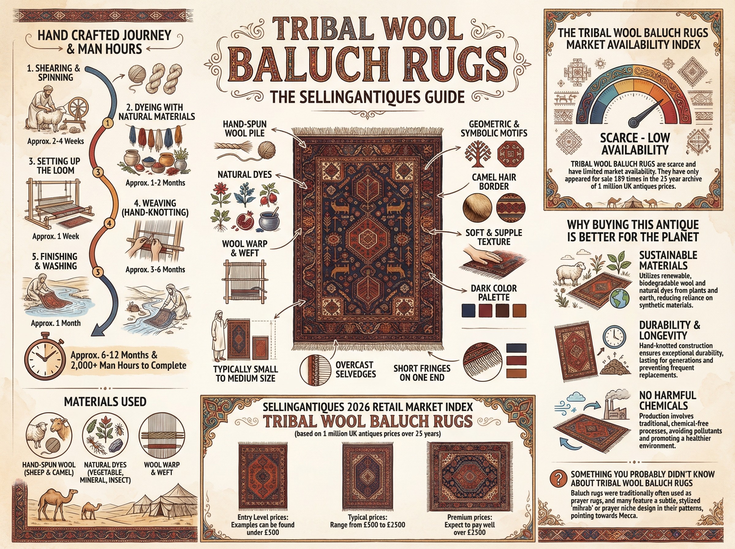 Tribal Wool Baluch Rugs Guide Infographic