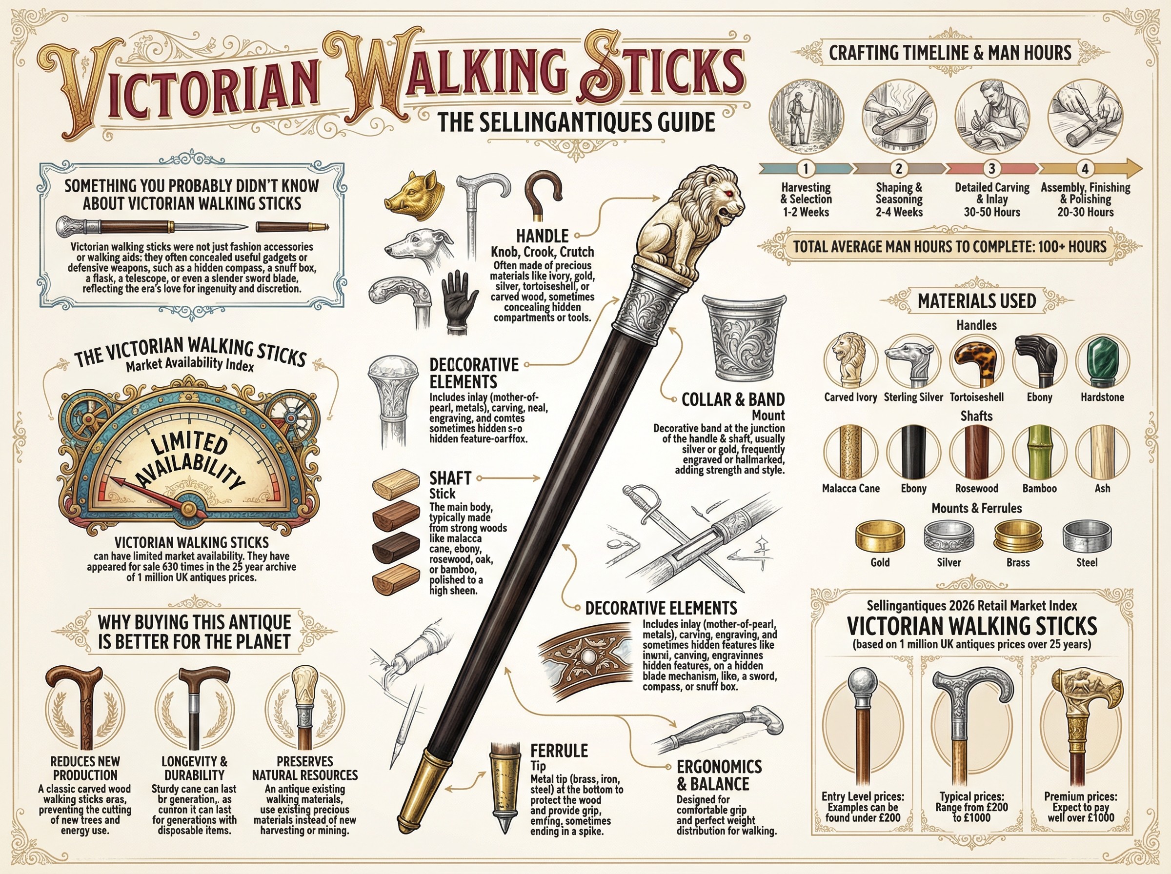 Victorian Walking Sticks Guide Infographic