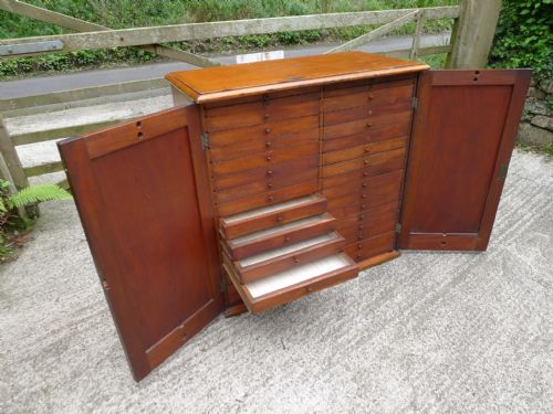 A Good and Versatile Mahogany Collectors Cabinet 34 Drawers. Circa 1880