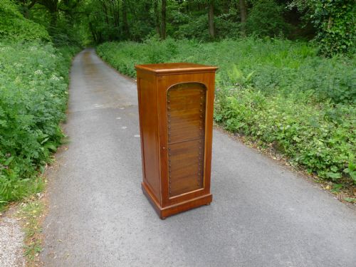 A Superb and Original 20 Drawer Entomological Collectors Specimen Cabinet by Charles Brady of Edmonton. Circa 1900.