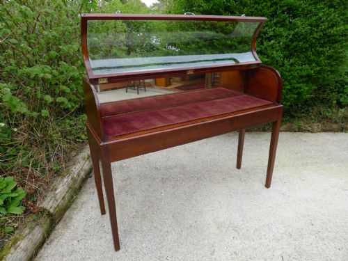 fig 1. A CURVED GLASS TOPPED COLLECTORS DISPLAY CABINET CIRCA 1900 ON STAND.
