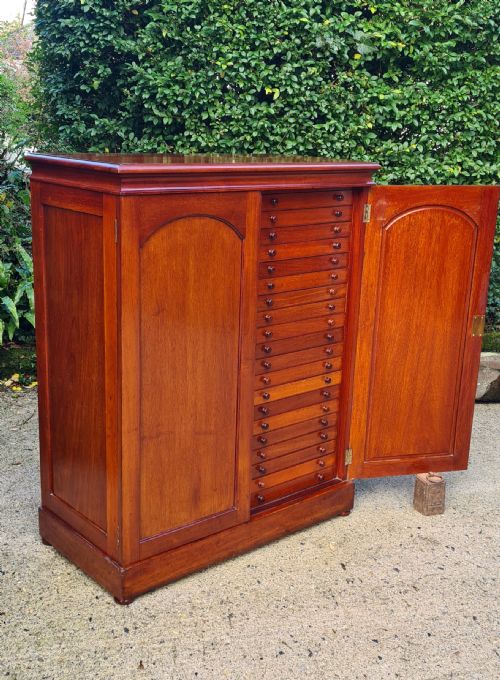 A CLASSIC LATE PERIOD BRADY 40 DRAWER COLLECTORS CABINET CIRCA19101920 - ADDITIONAL PHOTO 2