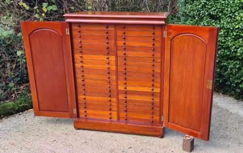 A CLASSIC LATE PERIOD BRADY 40 DRAWER COLLECTORS CABINET CIRCA19101920 - ADDITIONAL PHOTO 4