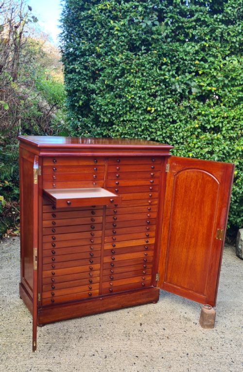 A CLASSIC LATE PERIOD BRADY 40 DRAWER COLLECTORS CABINET CIRCA19101920 - ADDITIONAL PHOTO 7