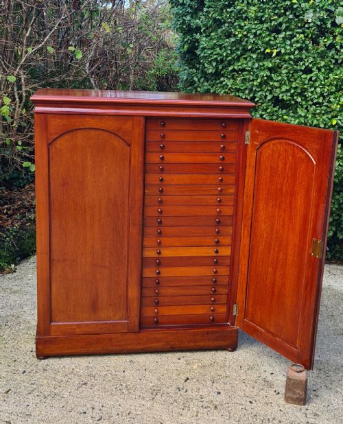 A CLASSIC LATE PERIOD BRADY 40 DRAWER COLLECTORS CABINET CIRCA19101920 - ADDITIONAL PHOTO 8