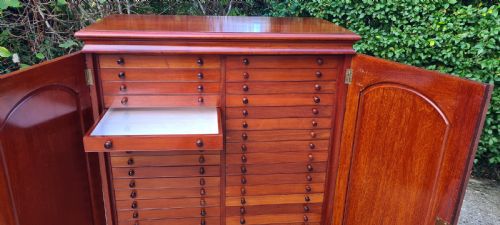 A CLASSIC LATE PERIOD BRADY 40 DRAWER COLLECTORS CABINET CIRCA19101920 - ADDITIONAL PHOTO 14