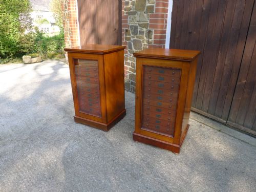 A VERY FINE PAIR OF 12 DRAWER STANDISH COLLECTORS CABINETS CIRCA 1880 - ADDITIONAL PHOTO 1