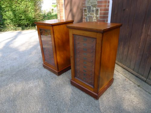 A VERY FINE PAIR OF 12 DRAWER STANDISH COLLECTORS CABINETS CIRCA 1880 - ADDITIONAL PHOTO 2