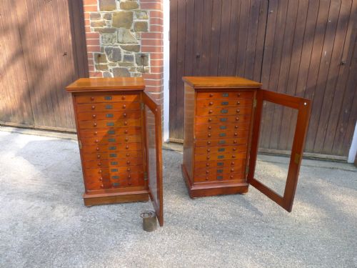 A VERY FINE PAIR OF 12 DRAWER STANDISH COLLECTORS CABINETS CIRCA 1880 - ADDITIONAL PHOTO 4