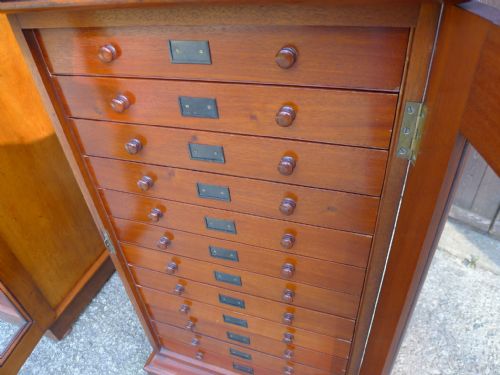 A VERY FINE PAIR OF 12 DRAWER STANDISH COLLECTORS CABINETS CIRCA 1880 - ADDITIONAL PHOTO 5