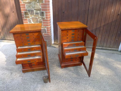 A VERY FINE PAIR OF 12 DRAWER STANDISH COLLECTORS CABINETS CIRCA 1880 - ADDITIONAL PHOTO 8