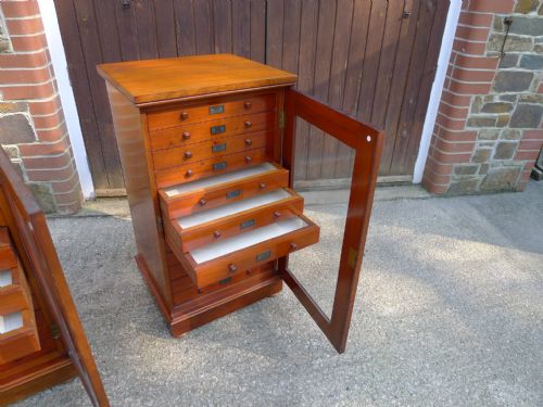 A VERY FINE PAIR OF 12 DRAWER STANDISH COLLECTORS CABINETS CIRCA 1880 - ADDITIONAL PHOTO 9