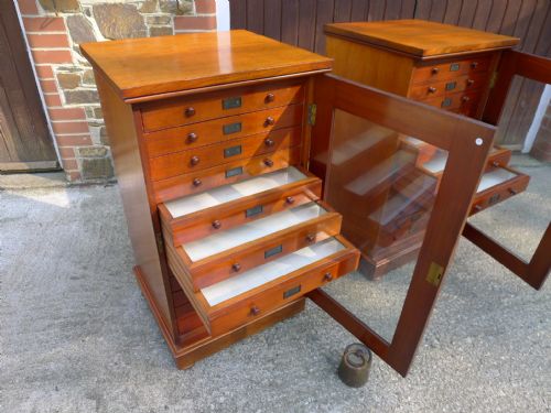 A VERY FINE PAIR OF 12 DRAWER STANDISH COLLECTORS CABINETS CIRCA 1880 - ADDITIONAL PHOTO 10