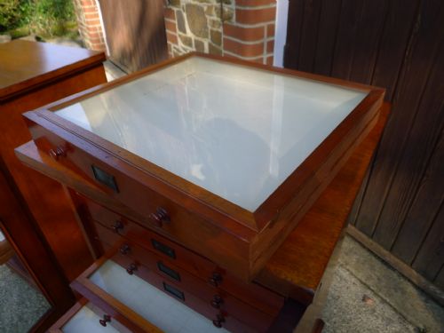 A VERY FINE PAIR OF 12 DRAWER STANDISH COLLECTORS CABINETS CIRCA 1880 - ADDITIONAL PHOTO 12