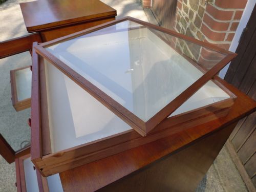 A VERY FINE PAIR OF 12 DRAWER STANDISH COLLECTORS CABINETS CIRCA 1880 - ADDITIONAL PHOTO 13