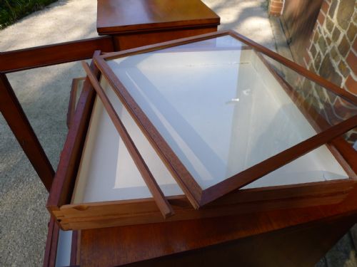 A VERY FINE PAIR OF 12 DRAWER STANDISH COLLECTORS CABINETS CIRCA 1880 - ADDITIONAL PHOTO 14