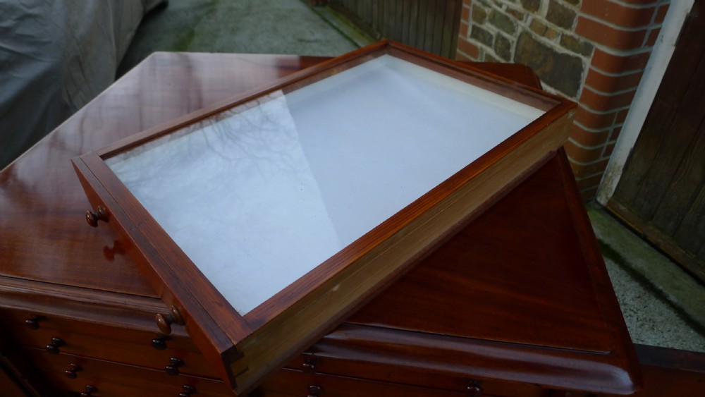 A VICTORIAN MAHOGANY 30 DRAWER COLLECTORS CABINET CIRCA 1880. View XII