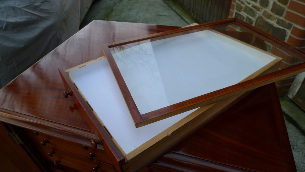 A VICTORIAN MAHOGANY 30 DRAWER COLLECTORS CABINET CIRCA 1880. View XIII
