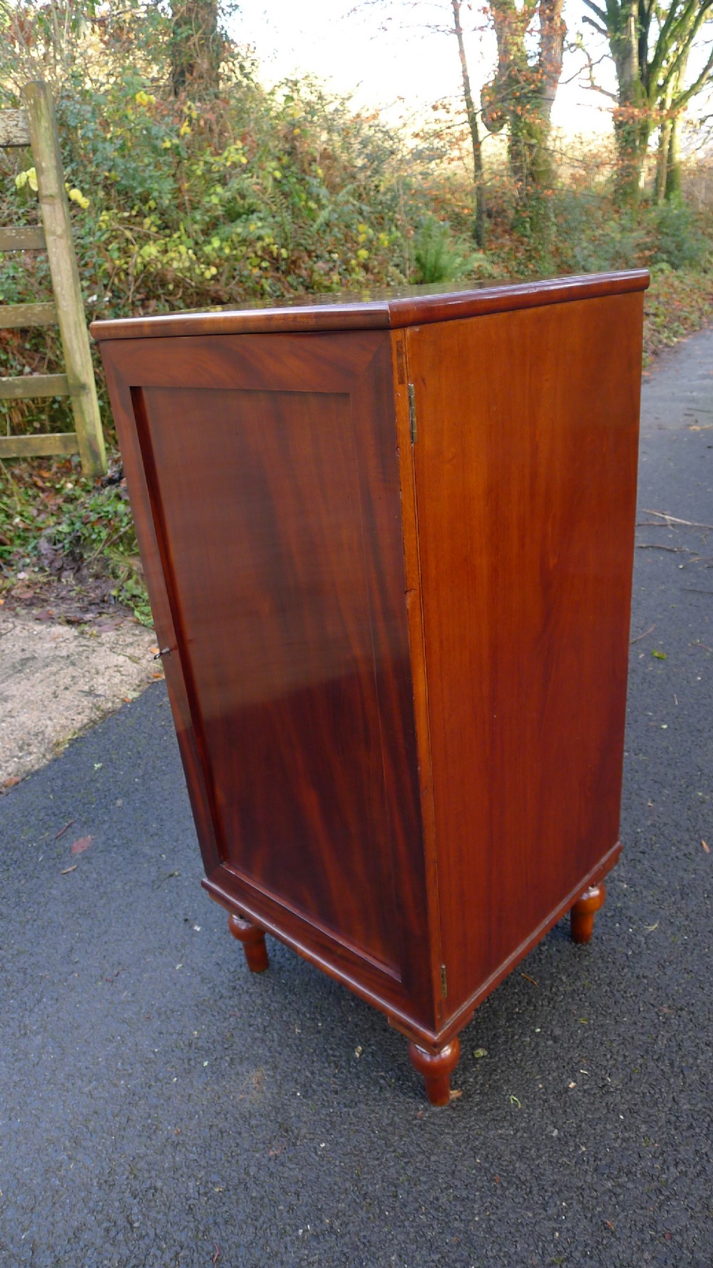 A nineteenth-century mahogany collectors cabinet featuring an open panelled door revealing multiple shallow drawers with light-coloured knob handles. View XV