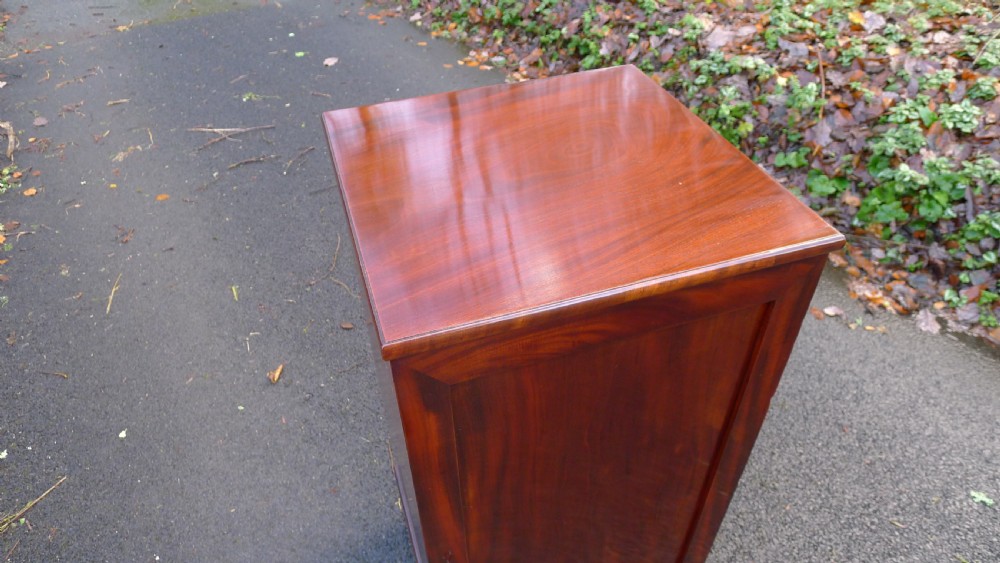 A nineteenth-century mahogany collectors cabinet featuring an open panelled door revealing multiple shallow drawers with light-coloured knob handles. View XVI