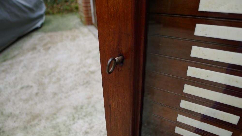 A SUPERB QUALITY, SOLID MAHOGANY MEDAL COLLECTORS CABINET ATTRIBUTED TO MESSRS HOLLAND & SONS. CIRCA 1900. View IV