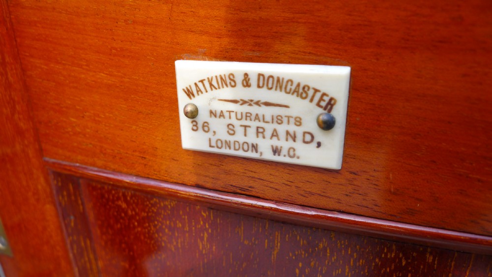 A BEAUTIFUL, TOP QUALITY, VICTORIAN HONDURAS MAHOGANY, TEN DRAWER COLLECTORS CABINET BY MESSRS WATKINS & DONCASTER. CIRCA 1890.  View IV