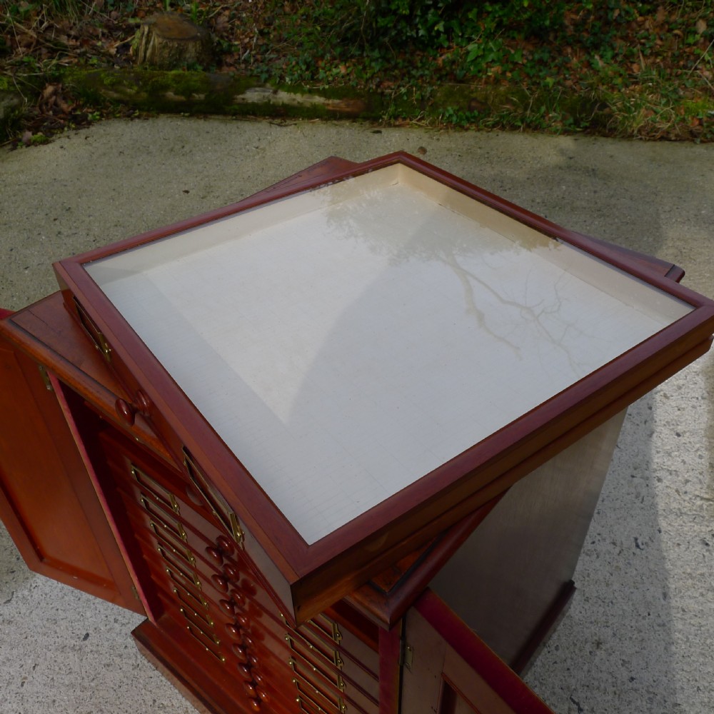 A BEAUTIFUL TOP QUALITY COLLECTORS  CABINET WITH IMPORTANT HISTORICAL PROVENANCE. PROPERTY OF THE LATE ALICE BLANCHE BALFOUR. CIRCA 1870. View XI