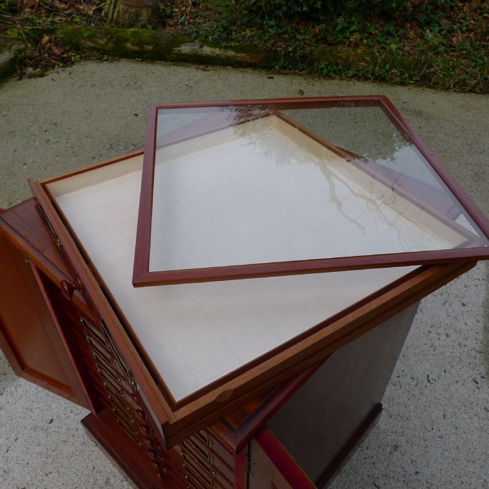 A BEAUTIFUL TOP QUALITY COLLECTORS  CABINET WITH IMPORTANT HISTORICAL PROVENANCE. PROPERTY OF THE LATE ALICE BLANCHE BALFOUR. CIRCA 1870. View XIII