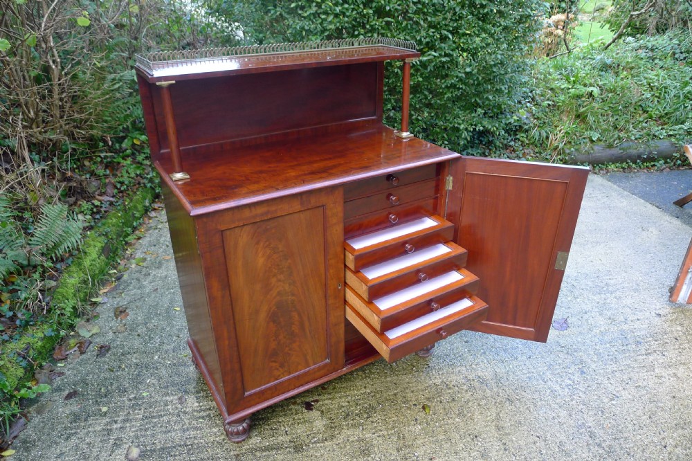 A SUPERB EARLY VICTORIAN 20 DRAWER COLLECTORS CABINET CIRCA 1860