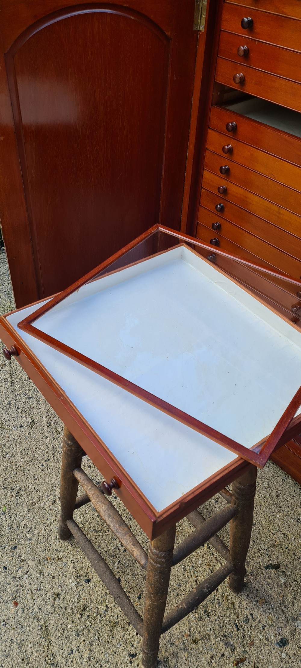 An Edwardian mahogany collectors cabinet with double doors open to reveal forty shallow drawers with small turned wooden knobs, featuring one drawer pulled forward displaying a glass cover. View XII