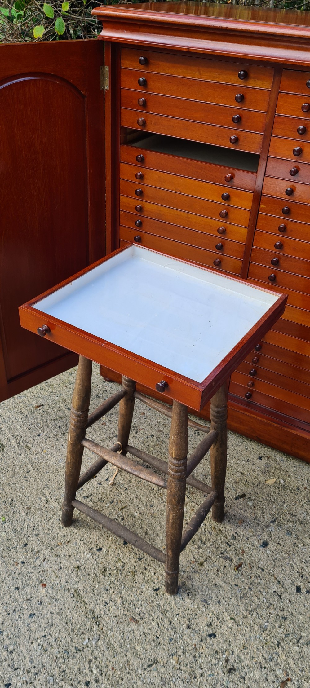 An Edwardian mahogany collectors cabinet with double doors open to reveal forty shallow drawers with small turned wooden knobs, featuring one drawer pulled forward displaying a glass cover. View XIII