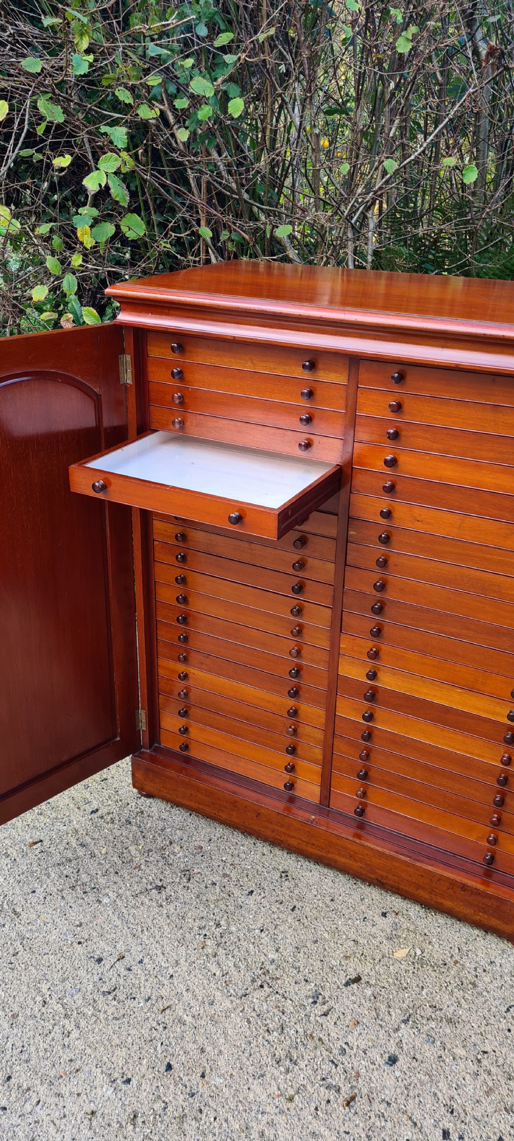 An Edwardian mahogany collectors cabinet with double doors open to reveal forty shallow drawers with small turned wooden knobs, featuring one drawer pulled forward displaying a glass cover. View XVI