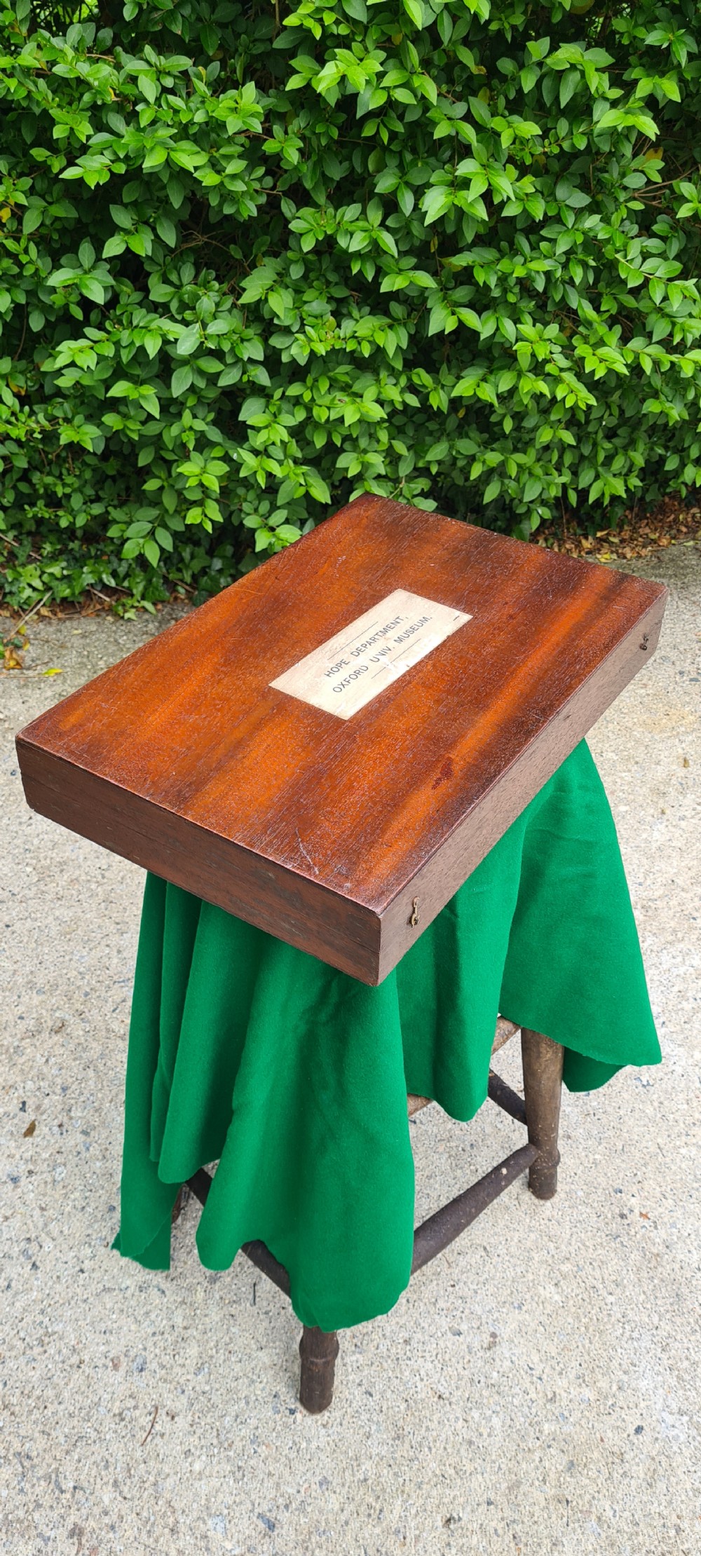 AN ANTIQUE SOLID MAHOGANY COLLECTORS CABINET STOREBOX CIRCA 1860 View II
