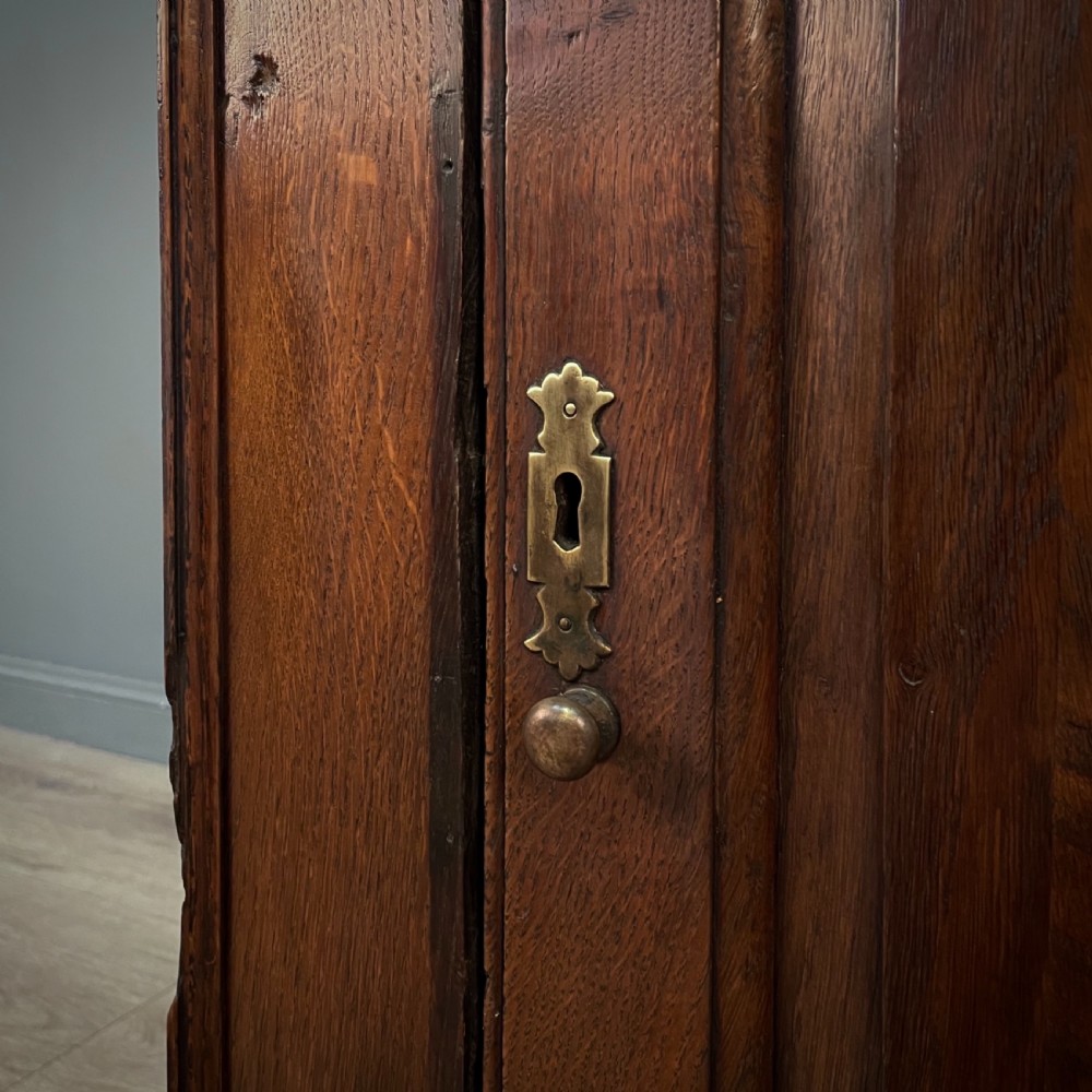 An antique Georgian oak hanging corner cabinet featuring an arched panel door, moulded top cornice, and brass fittings. View V