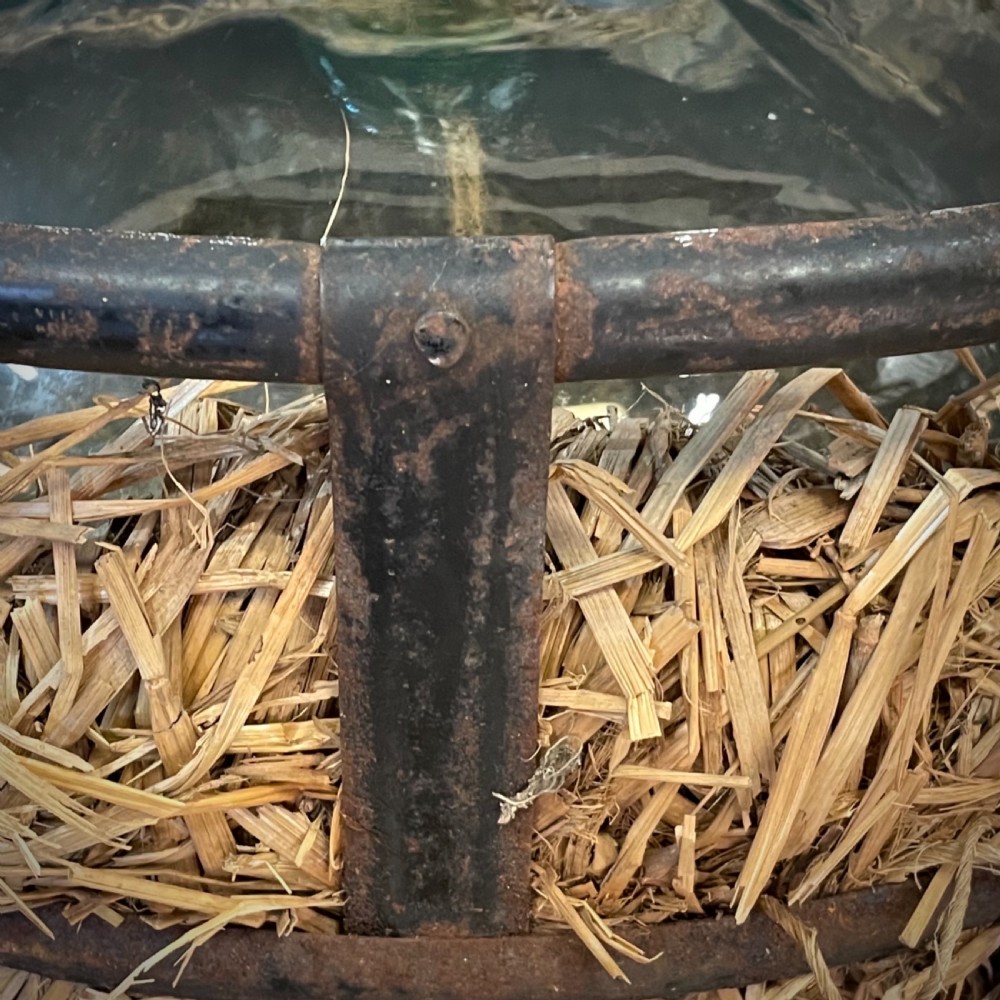 A large green glass demijohn bottle resting inside a natural straw-lined iron basket frame. View VI
