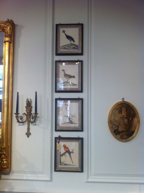 fig 1. Set of 8 William Hayes hand coloured bird etchings. C1794