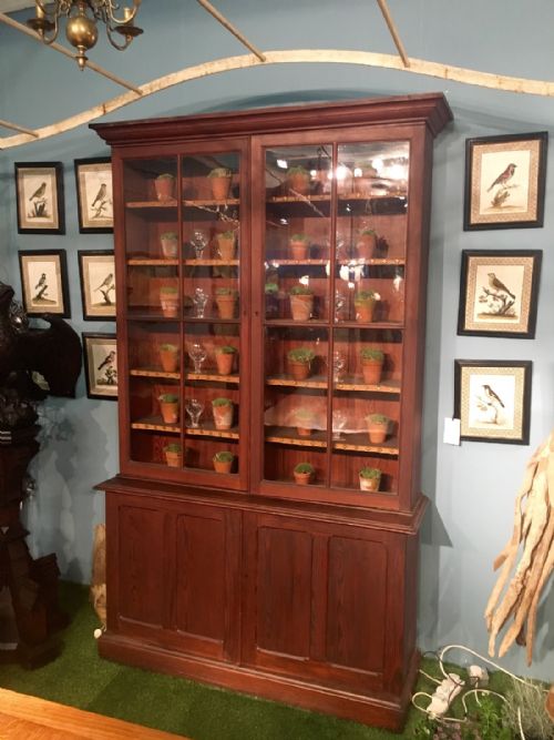 Genuine Regency Pitch Pine Bookcase