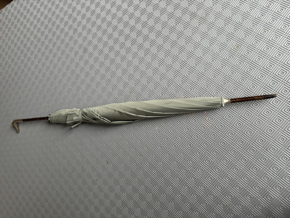 An Edwardian parasol featuring a carved silver duck head handle, a dark wooden shaft, and a folded sage green fabric canopy.