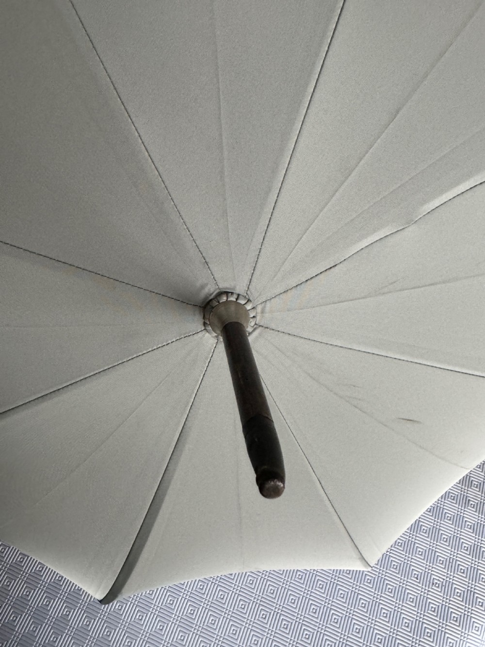 An Edwardian parasol featuring a carved silver duck head handle, a dark wooden shaft, and a folded sage green fabric canopy. View V