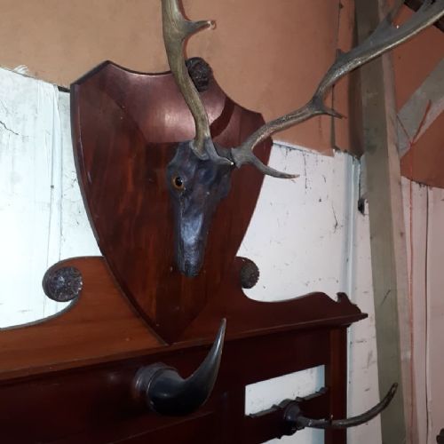 Large Late 19th Century Mahogany Hunting Lodge Hallstand