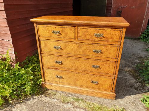 Good Victorian Pitch Pine(oregon) Chest of 2s+3l Drawers