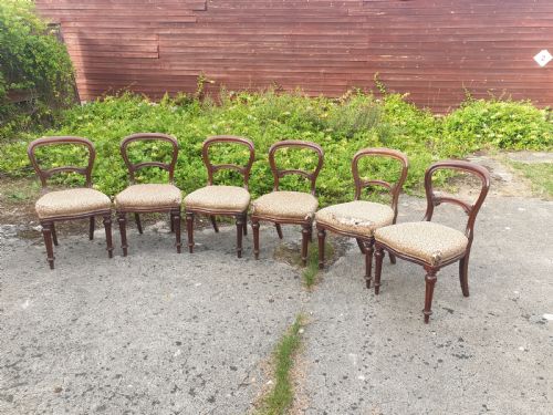 Set of 6 Mid Victorian Mahogany Balloon Back Dining Chairs.