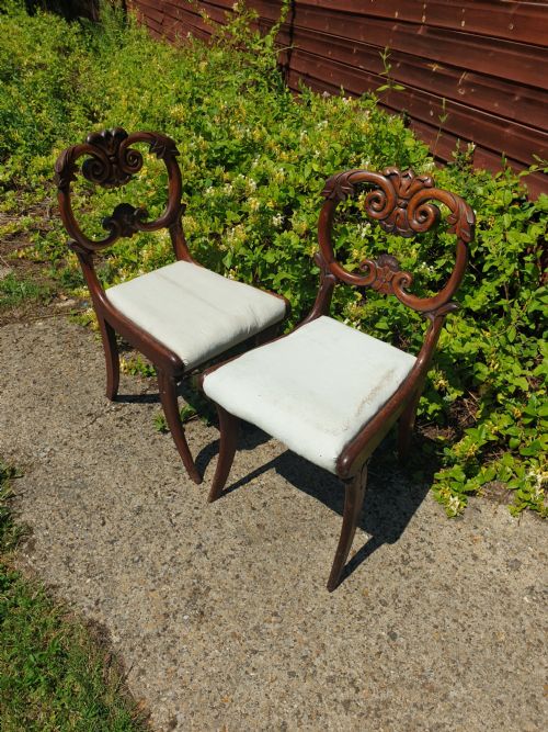 Pair of William the Fourth Mahogany Hall Chairs